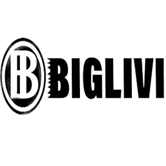 BlogsHunting Coupons Biglivi