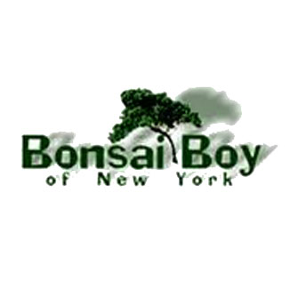 BlogsHunting Coupons Bonsai Boy