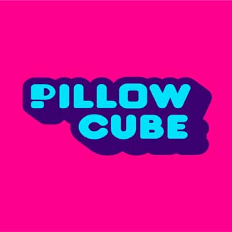 BlogsHunting Coupons Pillow Cube
