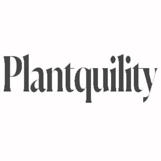 BlogsHunting Coupons Plantquility